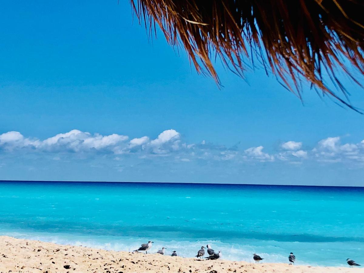 The Suites Of Solymar Cancun Bagian luar foto